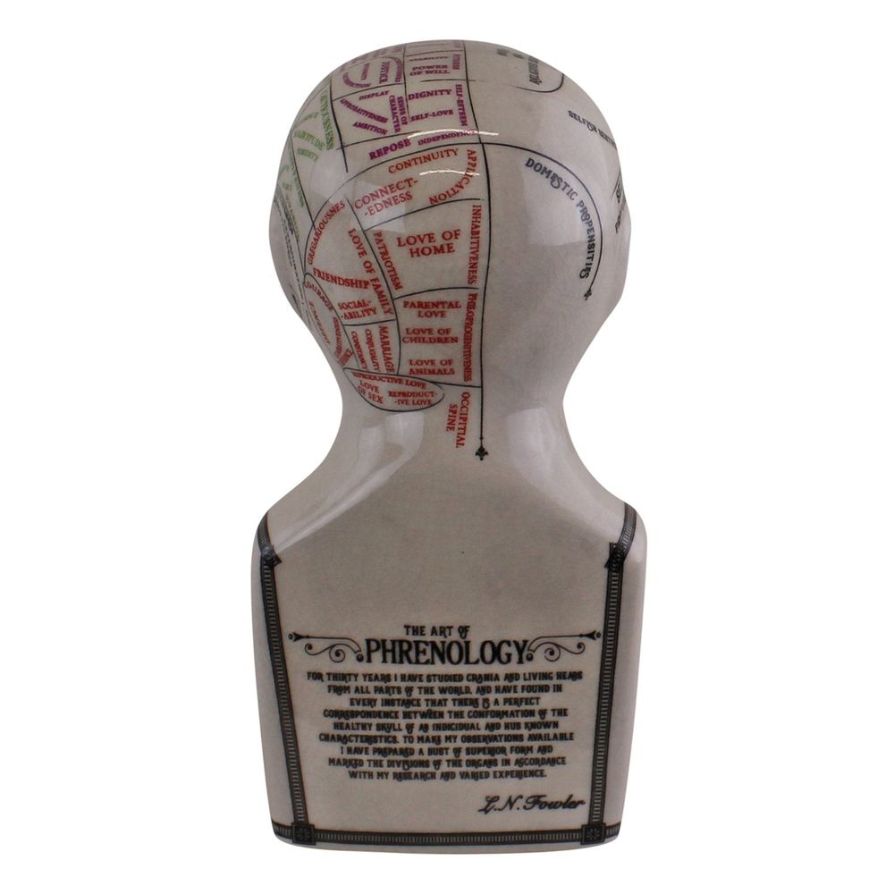 Premium Quality Small Ceramic Crackle Phrenology Head