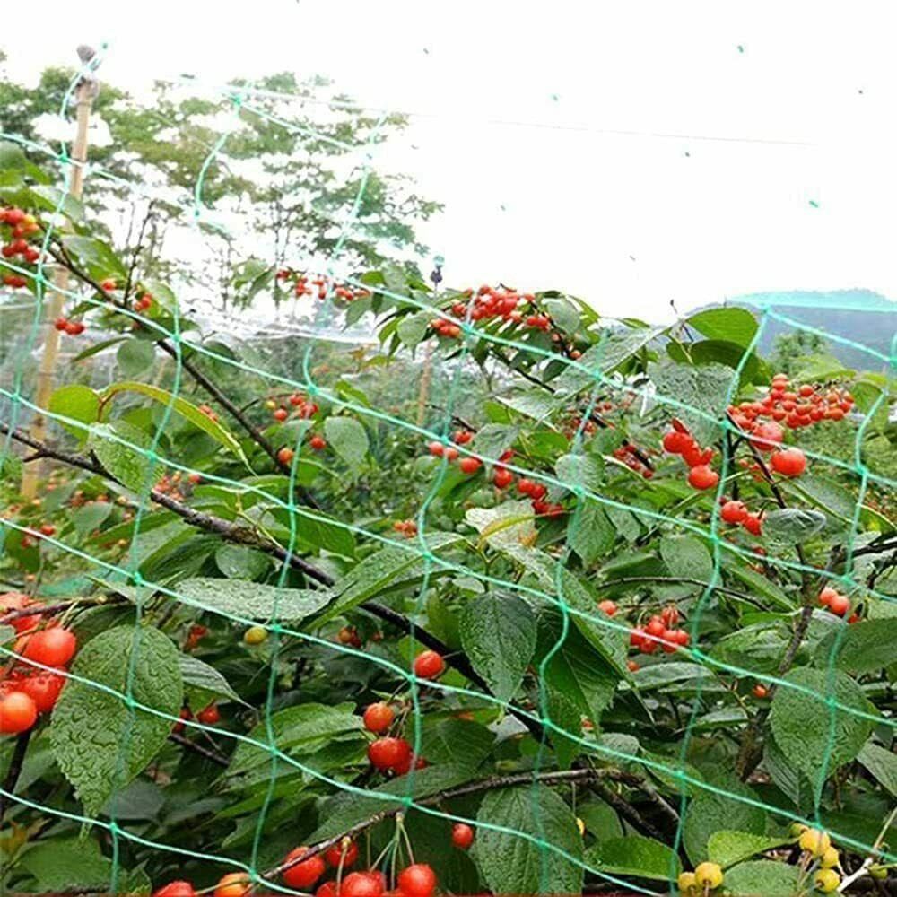 Anti Bird Garden Netting 2M X 10M - Plant Veg Crops Fruit Fine Mesh - Pond Net - Protects Plants from Birds - High Quality