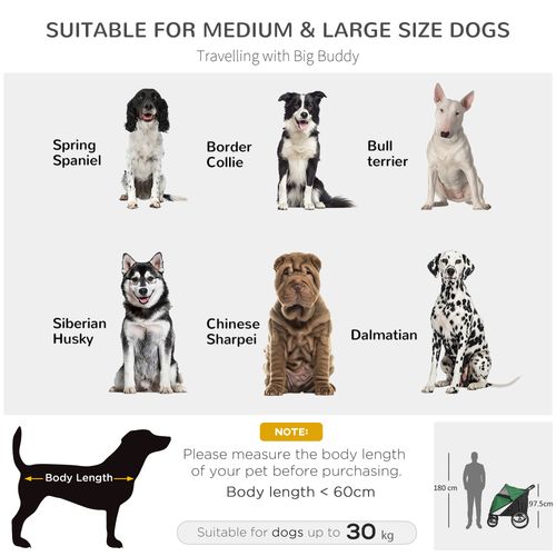 PawHut Pet Stroller Foldable Design with Cushion for M and L Dogs, Dark Green