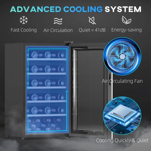 HOMCOM 41 Bottle Wine Cooler Fridge, Freestanding Wine Refrigerator