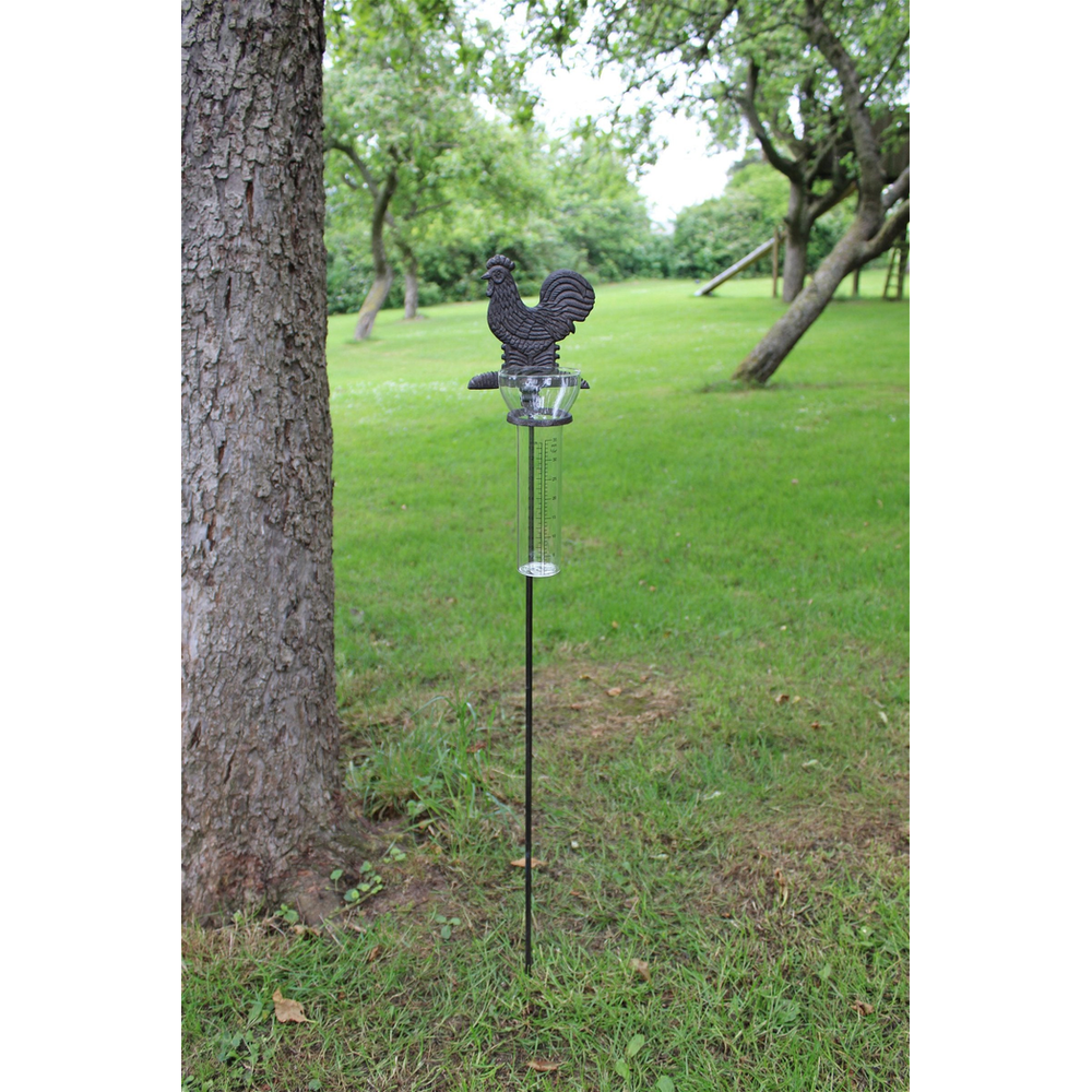Cast Iron and Glass Garden Rain Gauge, Chicken