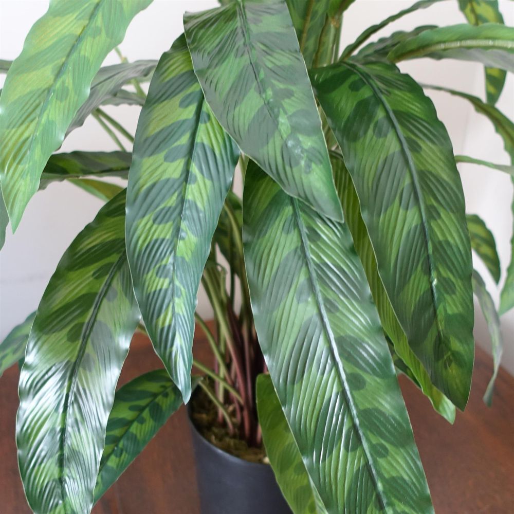 High-Quality 60cm Variegated Artificial Calathea Plant