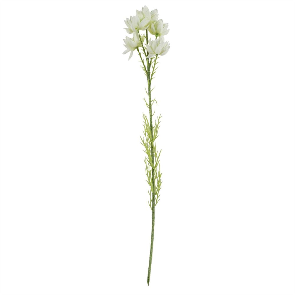 75cm White Starflower Display Ombre Glass Vase