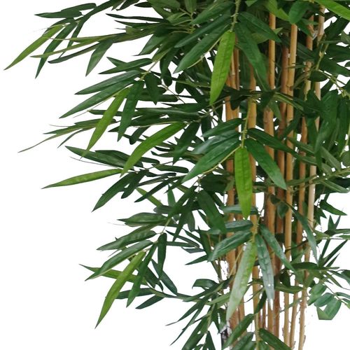 180cm  UV Resistant Bamboo Premium Quality