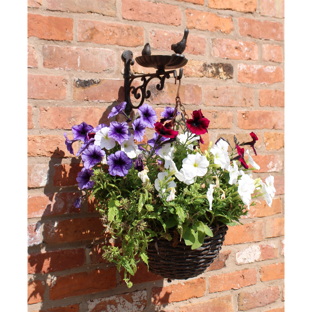 Hanging Basket Wall Bracket w/ Bird Feeder: Cast Iron, 29x23x14cm