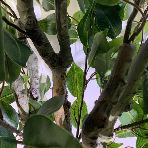 100cm Leaf Realistic Artificial Ficus Tree / Plant Bush Ficus