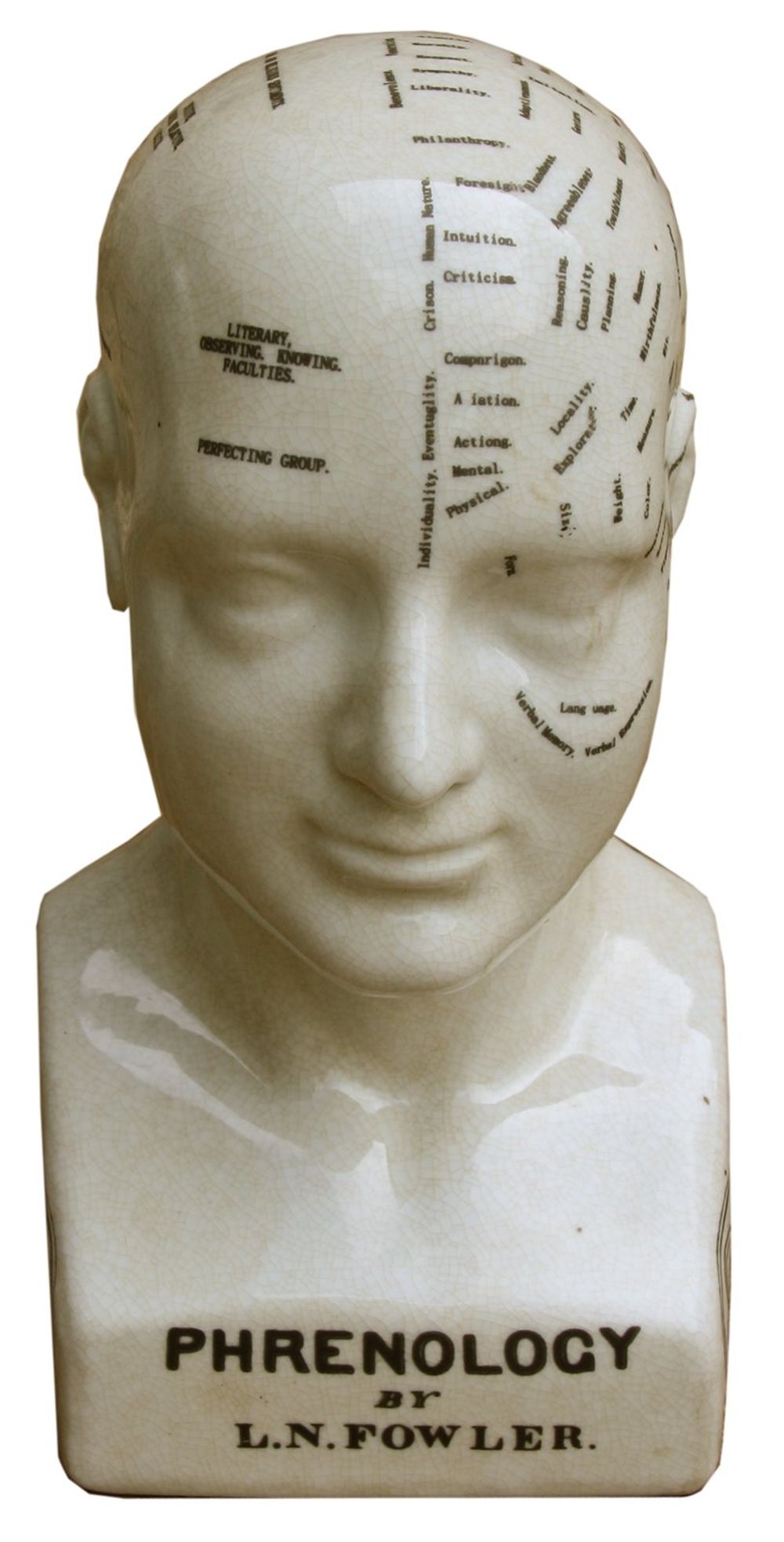 Ceramic Phrenology Head, 25cm: Ancient Knowledge & Art, Quality Craftsmanship