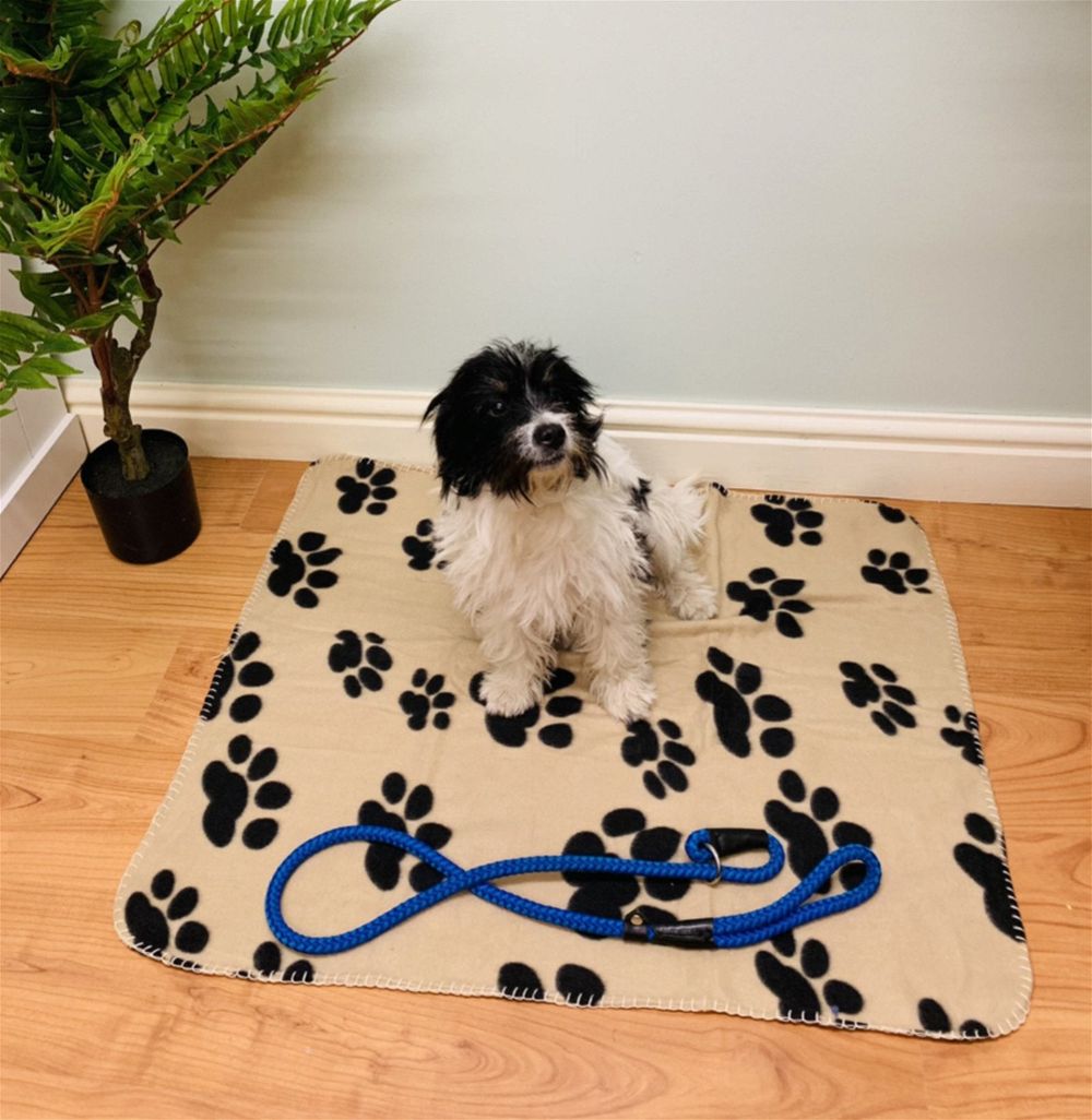 Paw Print Fleece Throw - 80cm - Quality Pet Bedding