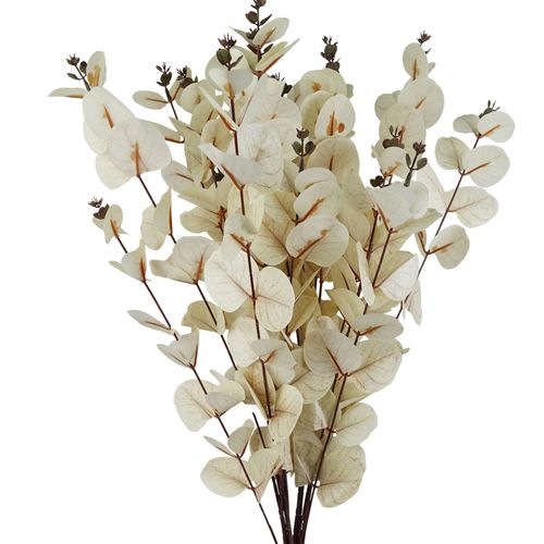 80cm White Eucalyptus Foliage Stem