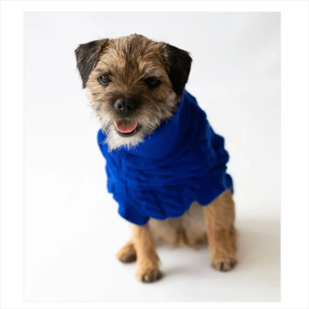 Premium Rascal Dog Jumper - Blue, Cableknit Design