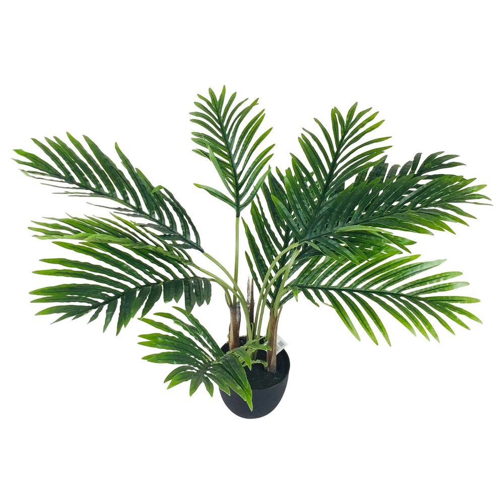 Realistic 65cm Artificial Palm Tree - High Quality, Detailed Design - Ideal for Indoor or Outdoor Use - Limited Stock