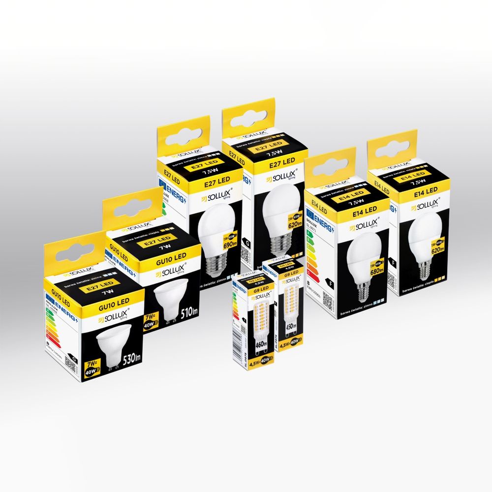 Premium Quality Designer Light Bulbs for Bright & Cosy Spaces | Various Styles & Colors