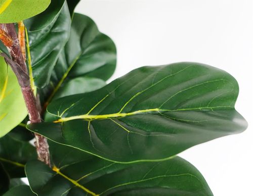 150cm Artificial Fiddle Fig Tree  Premium Quality
