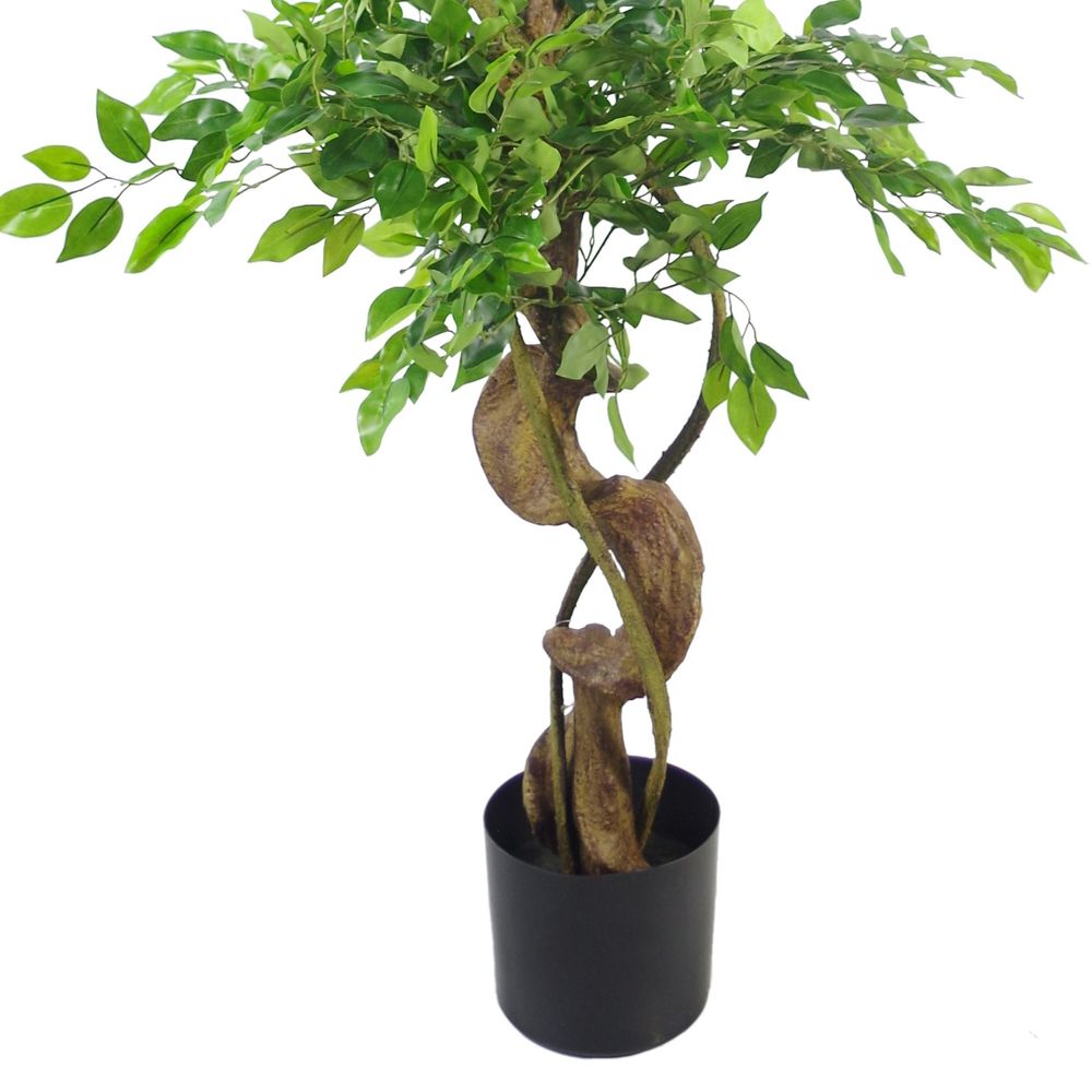 Leaf Design UK 150cm Twisted Trunk Artificial Japanese Fruticosa Style Ficus Tree