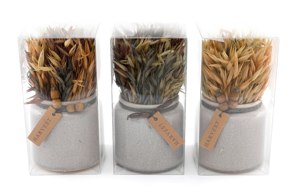 Dried Grasses in Ceramic Pots - Rustic Charm for Home Decor