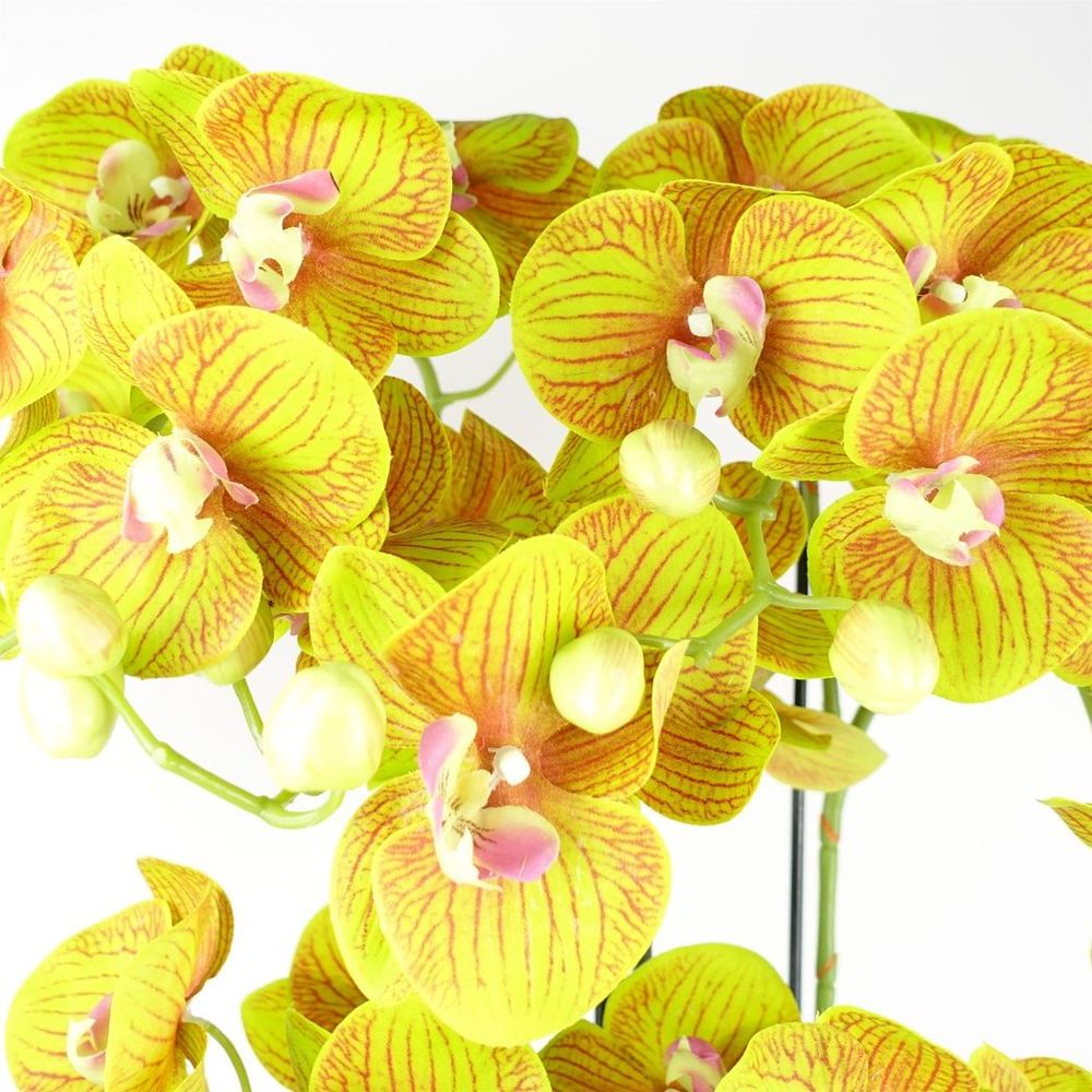 Botanik - 80cm Large Orchid Lime Yellow Artificial - 41 Real Touch Flowers - High-Quality Craftsmanship