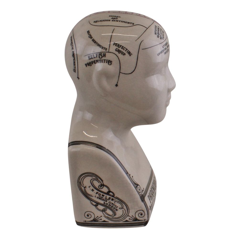 Premium Quality Small Ceramic Crackle Phrenology Head