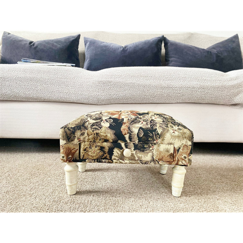 Cat Fabric Footstool with Drawer