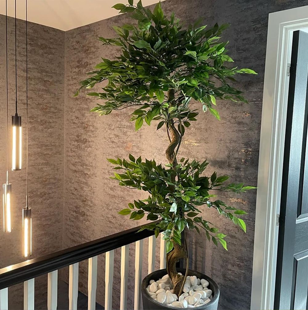 Leaf Design UK 150cm Twisted Trunk Artificial Japanese Fruticosa Style Ficus Tree