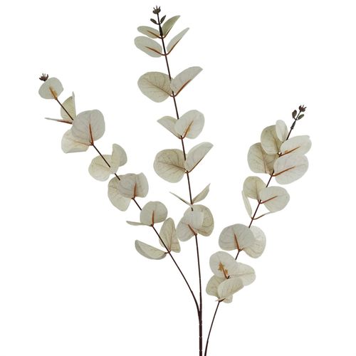 80cm White Eucalyptus Foliage Stem