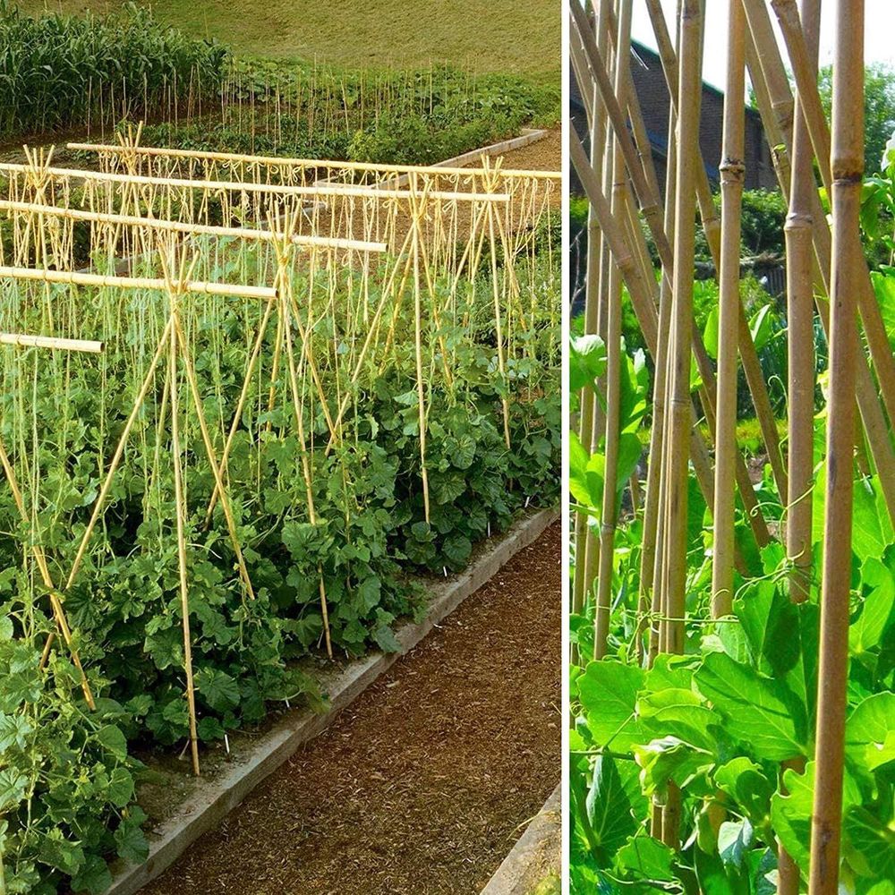 80 x 4FT Bamboo Canes Sticks 120cm