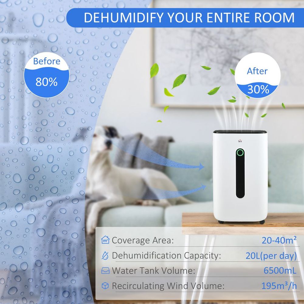 HOMCOM 20L/Day Quiet Air Dehumidifier with Purifier, Timer, for Home Laundry