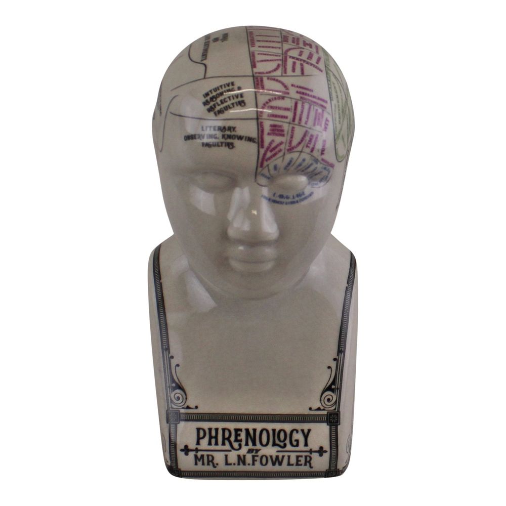 Premium Quality Small Ceramic Crackle Phrenology Head