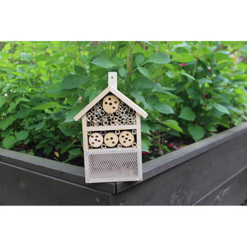 Wooden Insect House