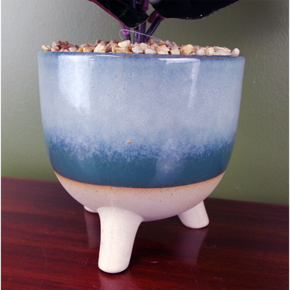 35cm Ficus Plant, Teal Blue Green Planter