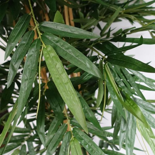 180cm  UV Resistant Bamboo Premium Quality