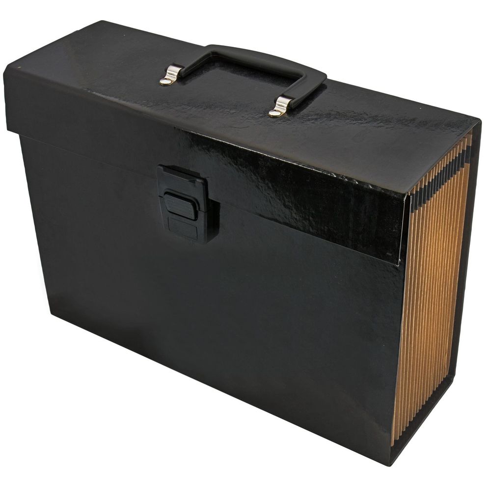 ATTA Black Expanding File 19 Pockets Carry Case