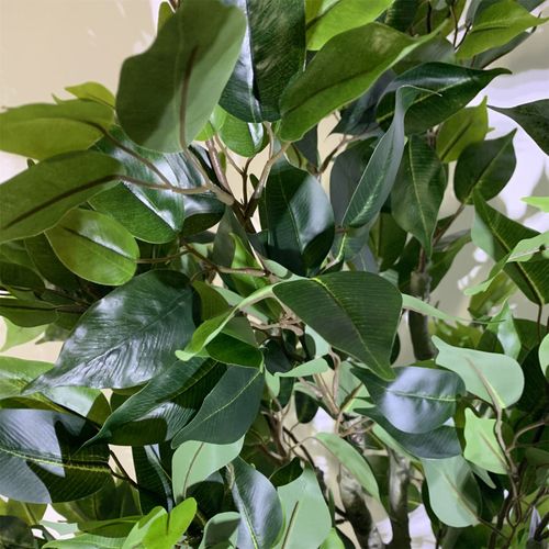 100cm Premium Artificial Ficus Twist Tree Silver Curve Planter