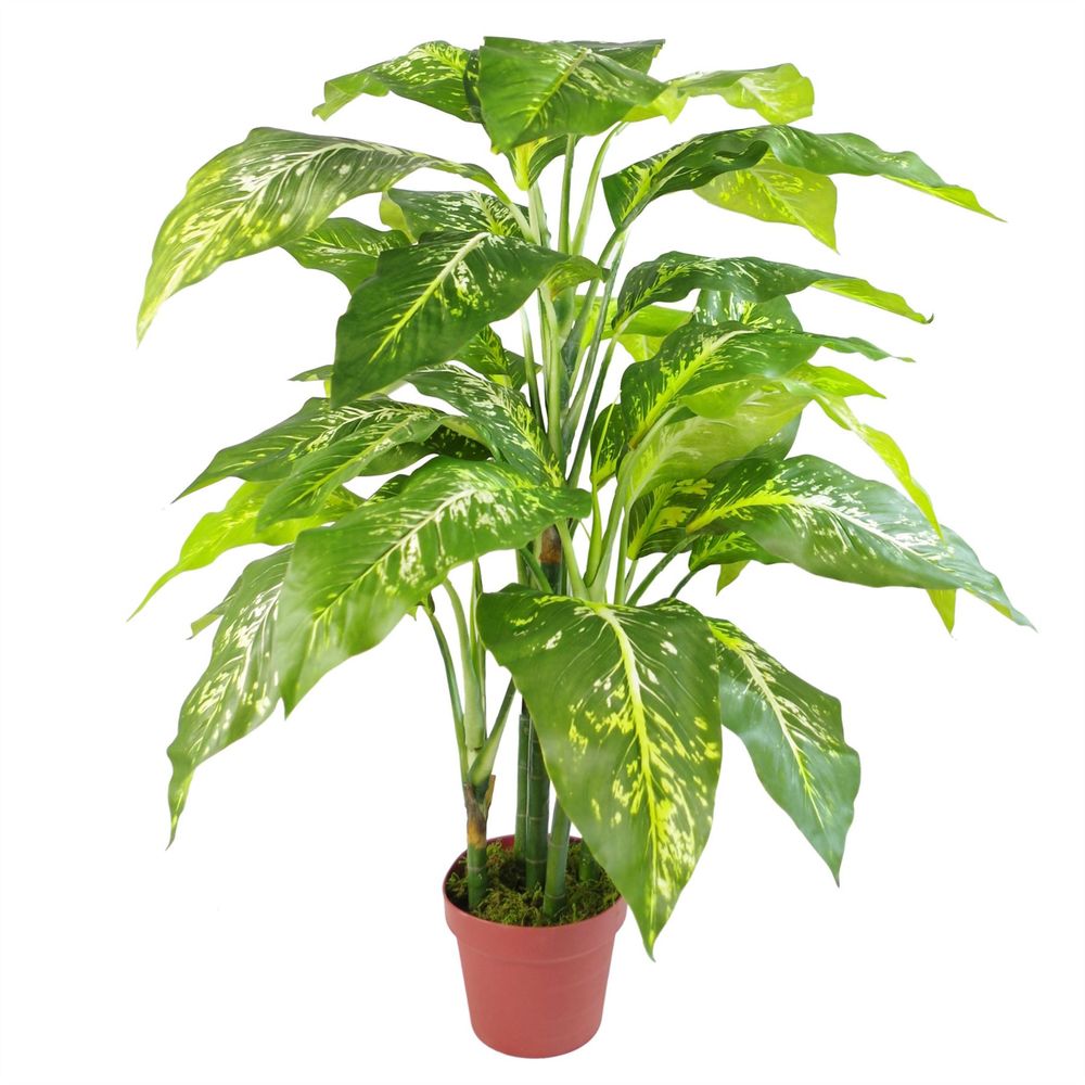 Large 100cm Fox's Aglaonema Tree, Spotted Evergreen, Artificial Plant