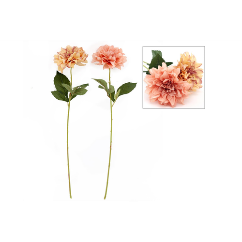 Dahlia Flower Stems