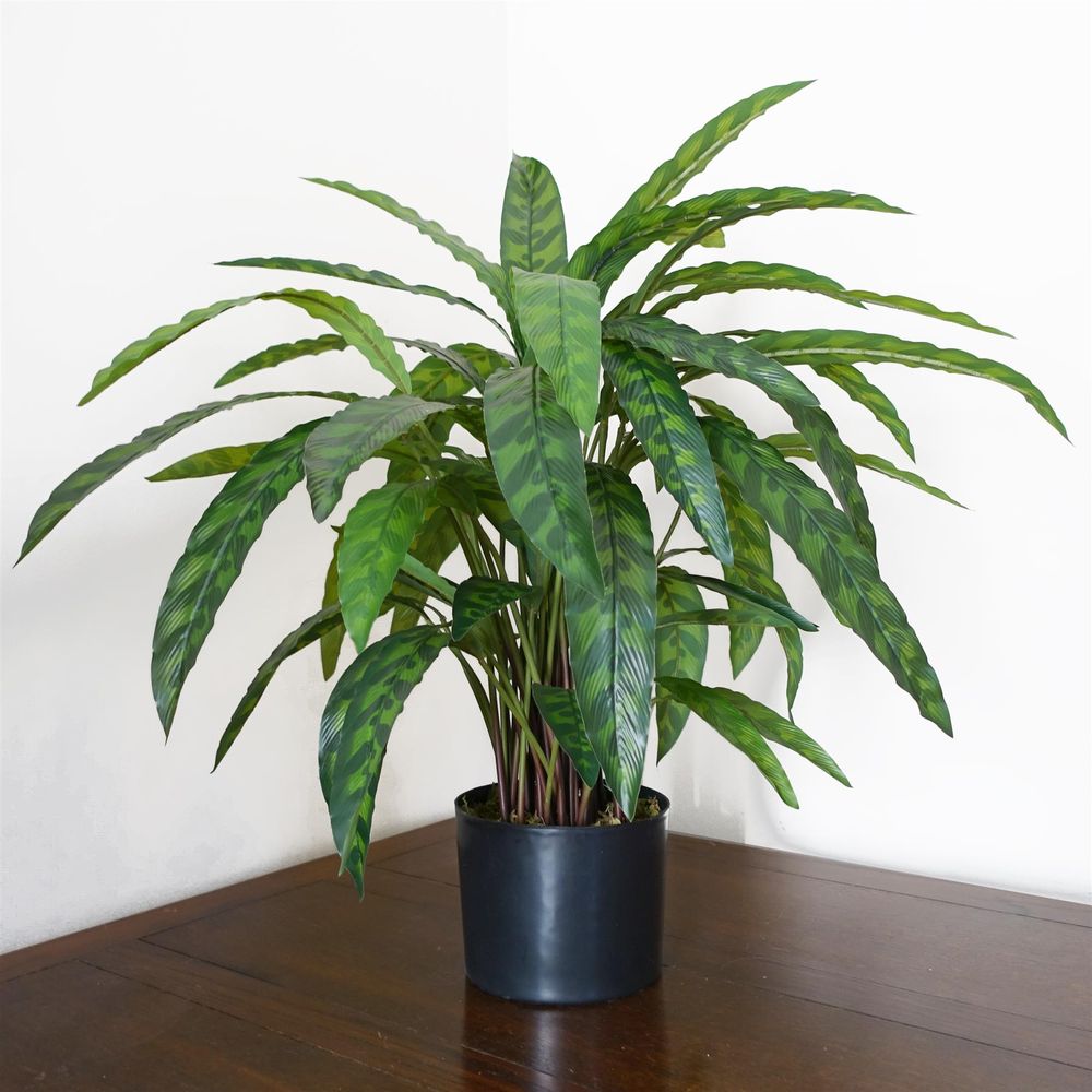 High-Quality 60cm Variegated Artificial Calathea Plant