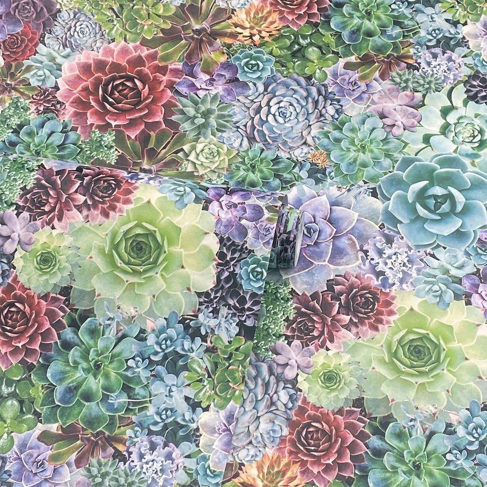 Premium Quality Succulent Living Wall Multi sw12
