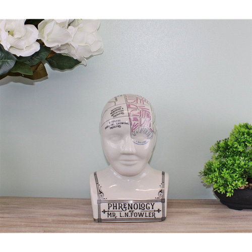 Large Ceramic Crackle Phrenology Head
