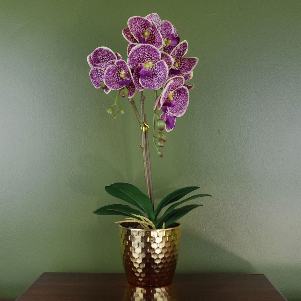 50cm Purple Leopard Phalaenopsis Orchid - Realistic Artificial - Gold Pot