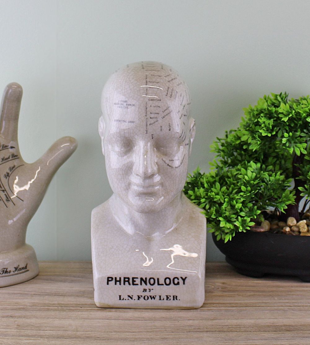 Ceramic Phrenology Head, 25cm: Ancient Knowledge & Art, Quality Craftsmanship
