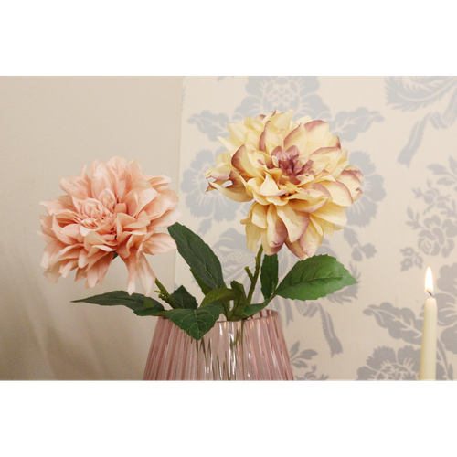 Dahlia Flower Stems
