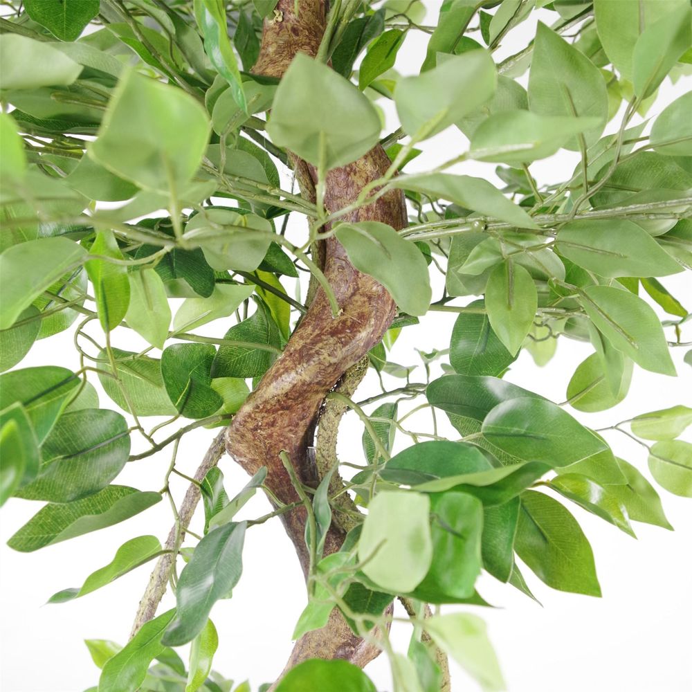 Leaf Design UK 150cm Twisted Trunk Artificial Japanese Fruticosa Style Ficus Tree