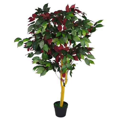 120cm (4ft) Artificial Capensia Tree Ficus Plant - Extra Large