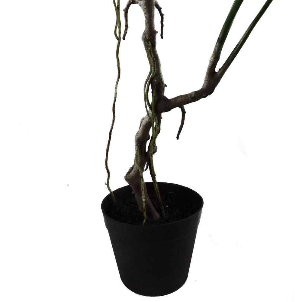 70cm Artificial Twisted Stem Monstera Plant - Lifelike and Elegant - Complete with Plastic Pot - High Quality