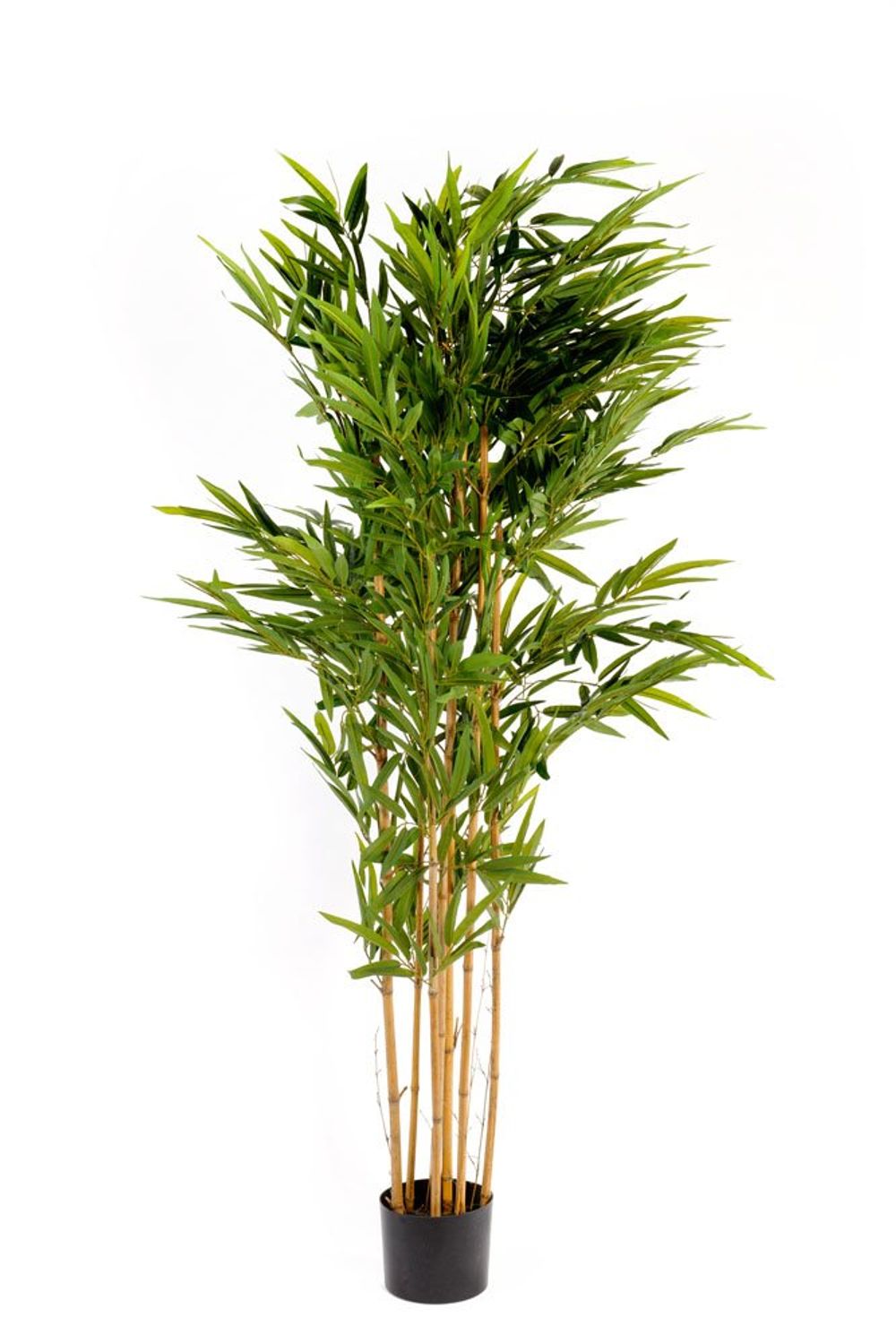 Realistic 6ft Bamboo Tree - High Quality, Wholesale Price - Indoor/Outdoor Use
