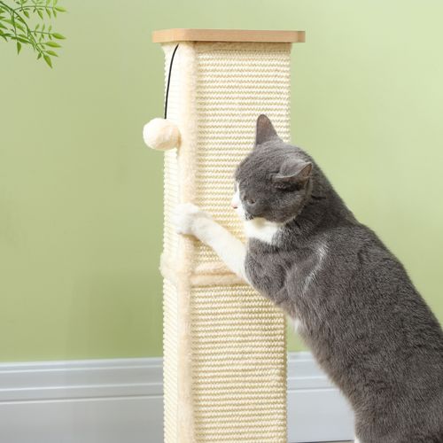 PawHut 67cm Cat Scratching Post 3 in 1 Cat Scratcher w/ Track Ball Toy