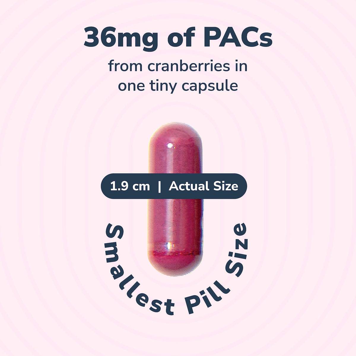 Szio+ Utiva Cranberry PACs – 36 mg PACs Clinically Studied UTI Prevention for Women | 30 Veggie Capsules