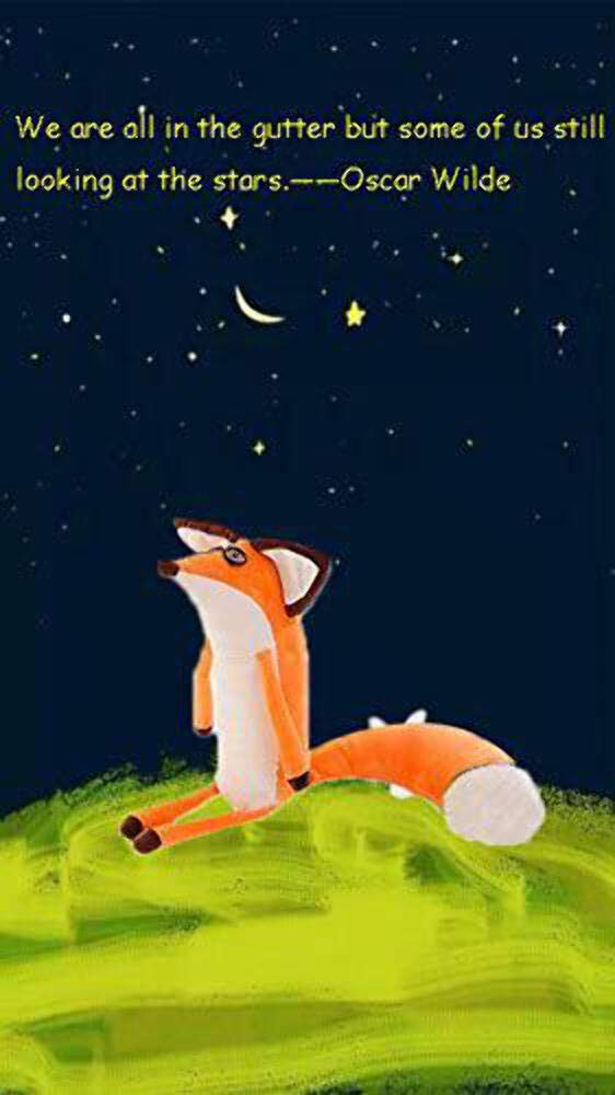 VANVENE The Little Fox Plush Doll – Soft Orange Fox Pillow Toy