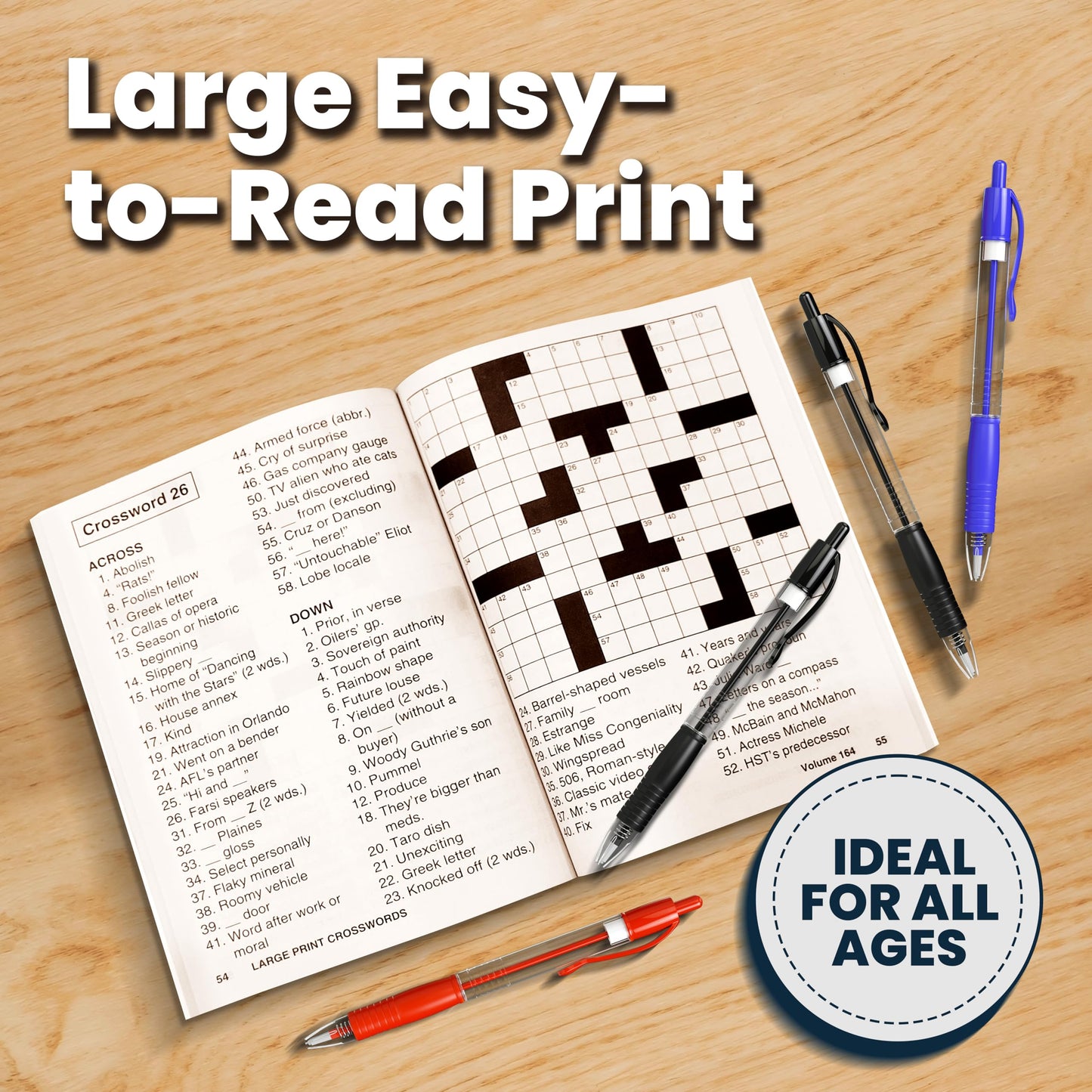 Variety Savings 12-Pack: Sudoku & Word Search Puzzles for Adults (8x10)
