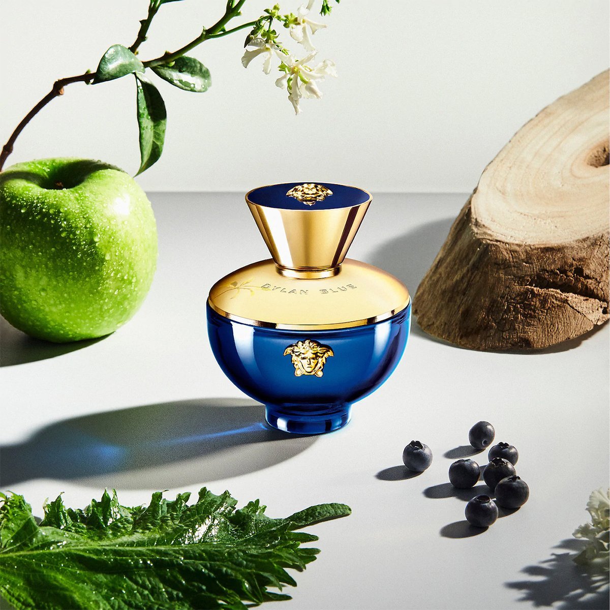 Versace Pour Femme Dylan Blue Eau de Parfum 100ml Spray