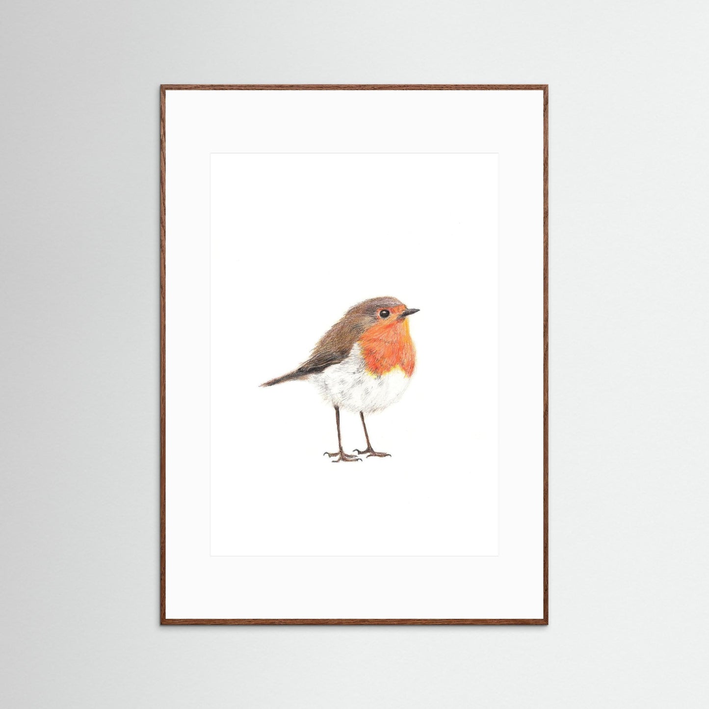 Robin Woodland Art Print